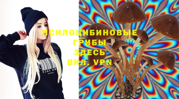 кристаллы Горняк