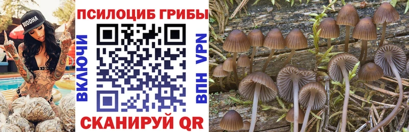 блэк спрут рабочий сайт Смоленск Псилоцибиновые грибы Cubensis