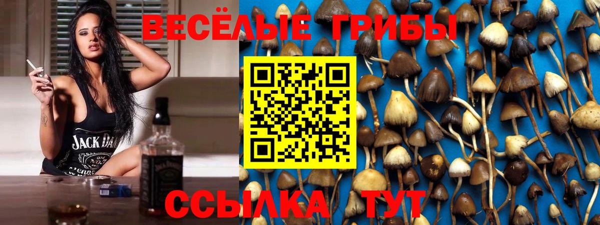 Псилоцибиновые грибы Magic Shrooms  Вход с VPN  Смоленск 