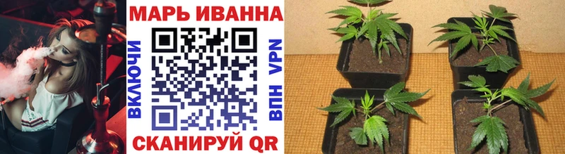 Бошки Шишки конопля  Смоленск 